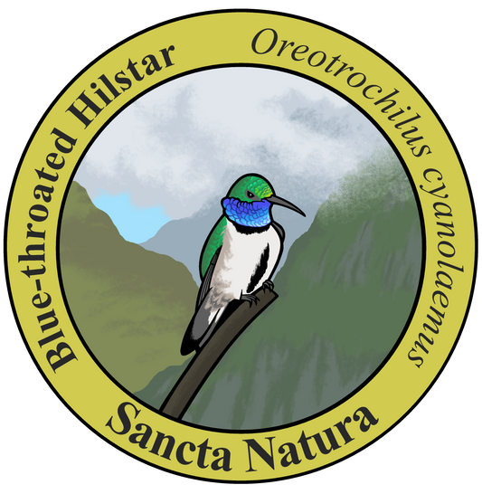 Adult Blue-throated Hillstar T-shirt