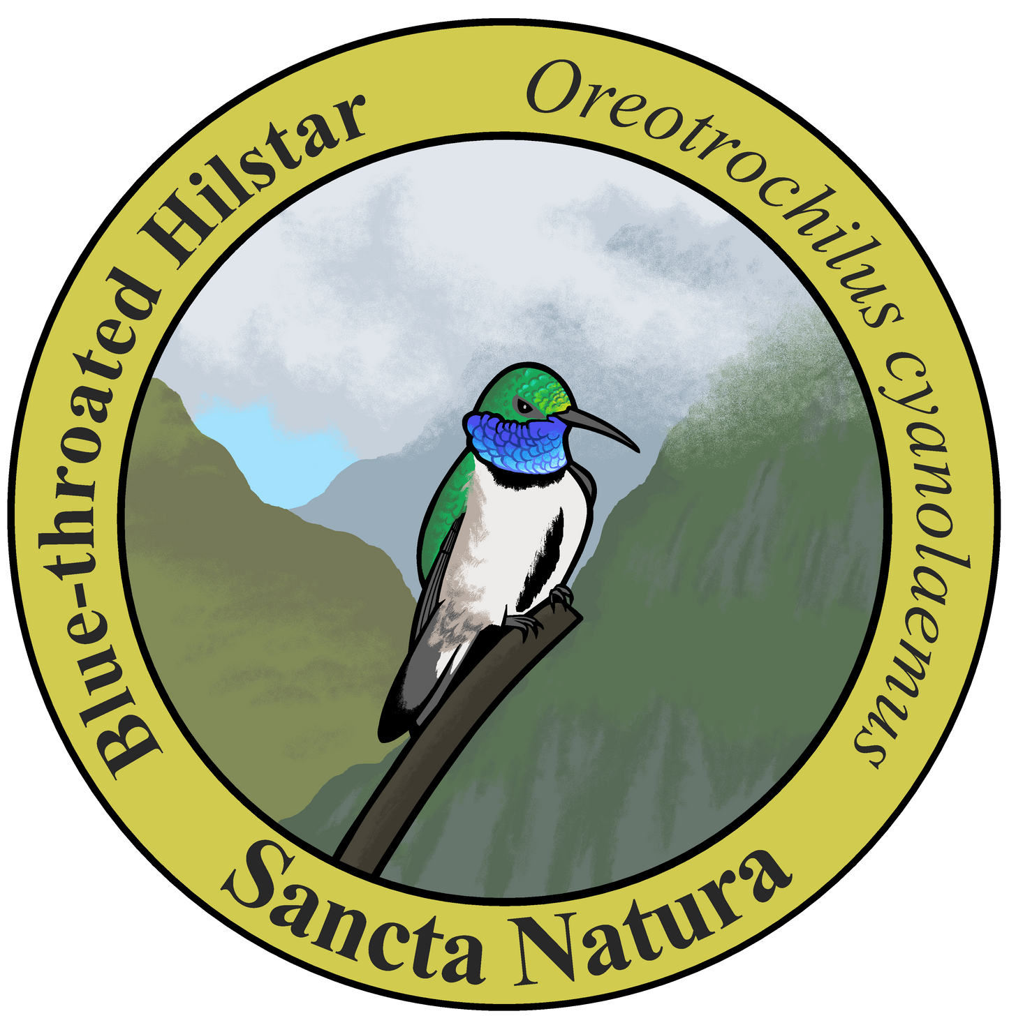 Kids Blue-throated Hillstar T-shirt