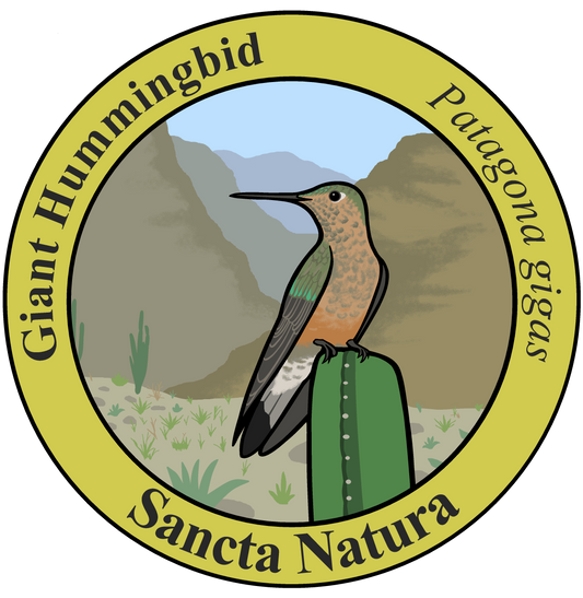 Adult Giant Hummingbird T-shirt