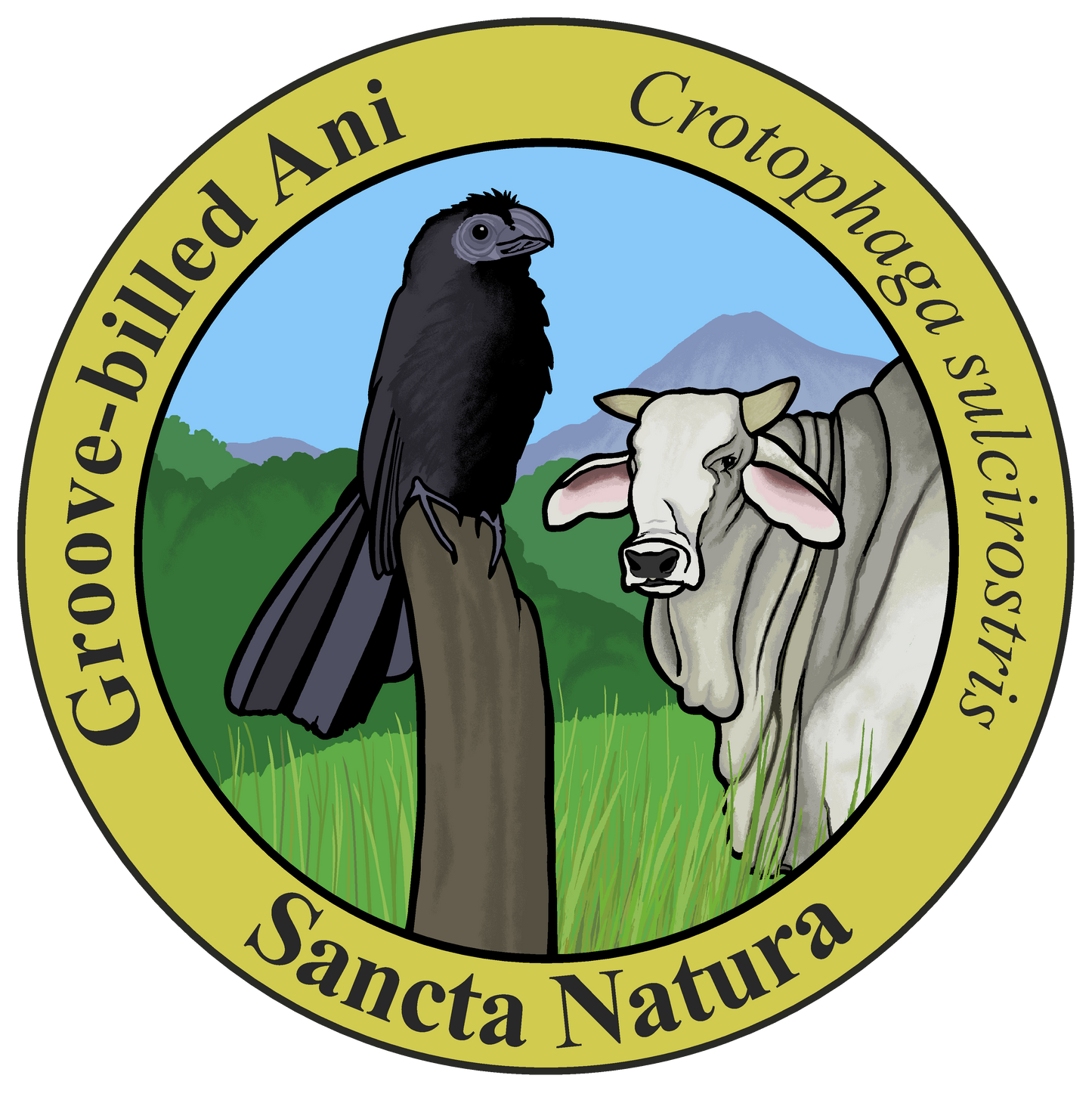 Adult Groove-billed Ani T-shirt