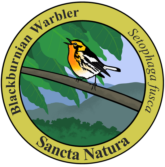Adult Blackburnian Warbler T-shirt
