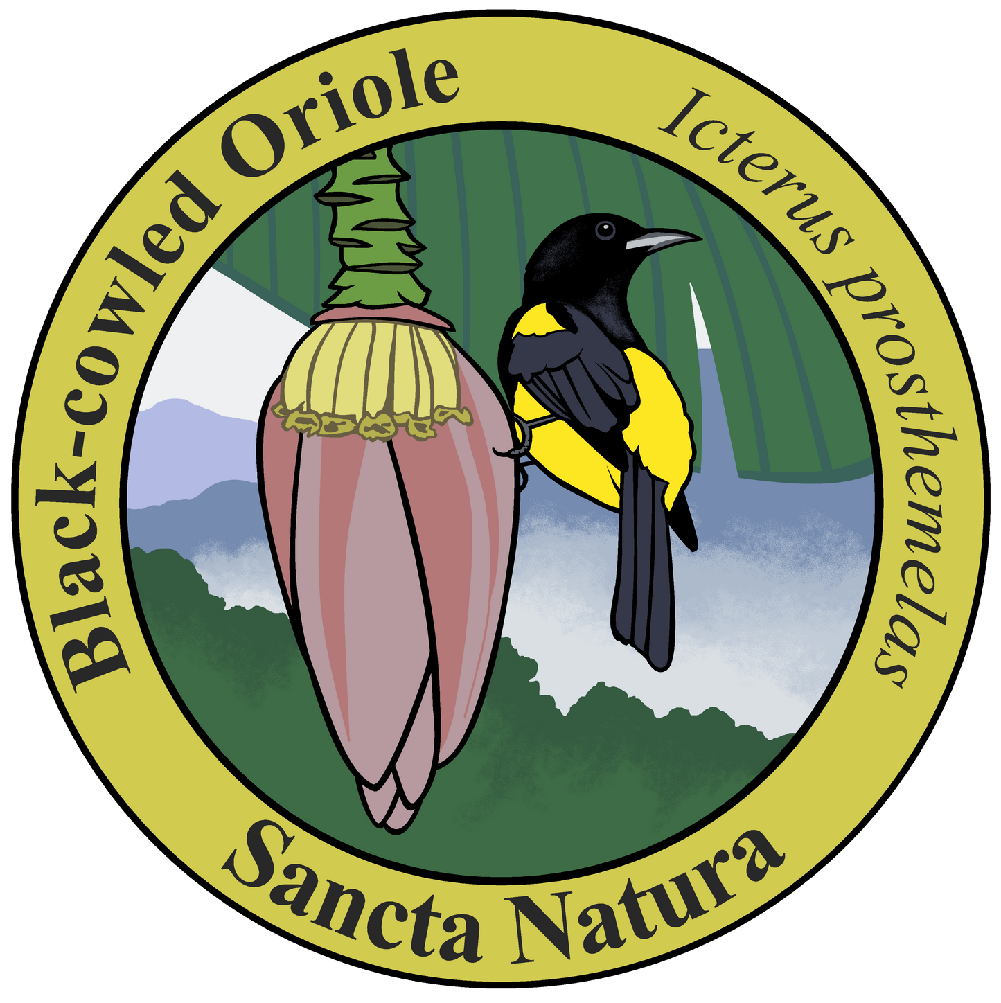 Adult Black-cowled Oriole T-shirt