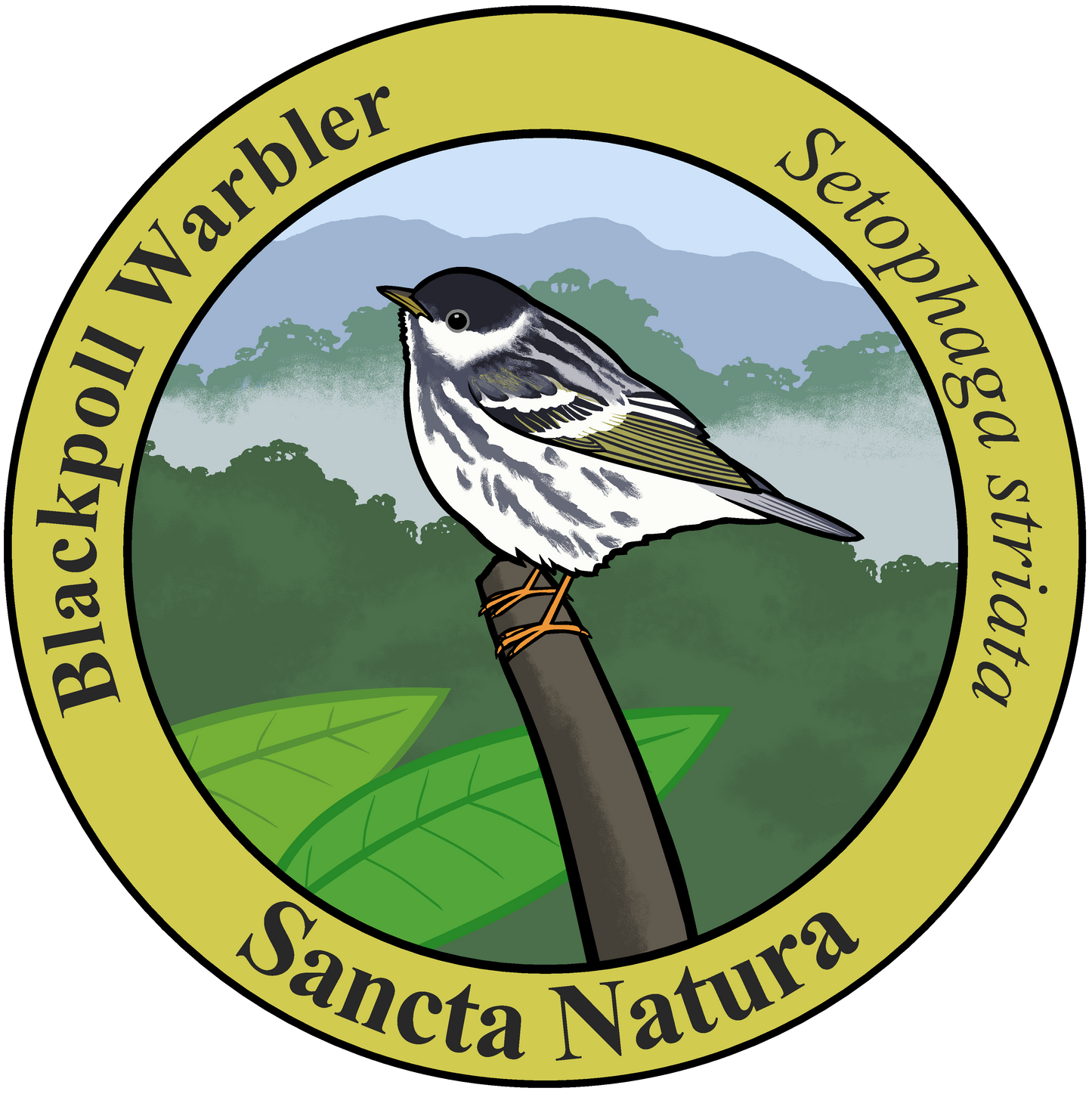 Kids Blackpoll Warbler T-shirt