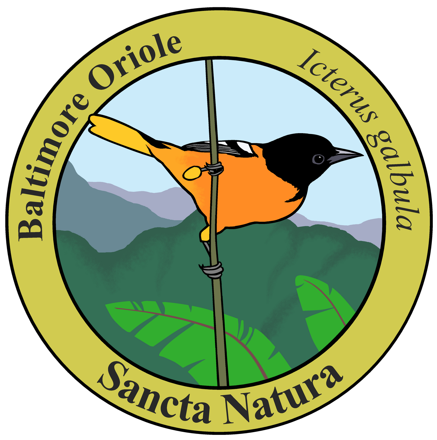 Kids Baltimore Oriole T-shirt