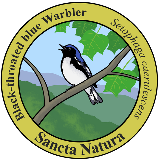 Kids Black-throated Blue Warbler T-shirt