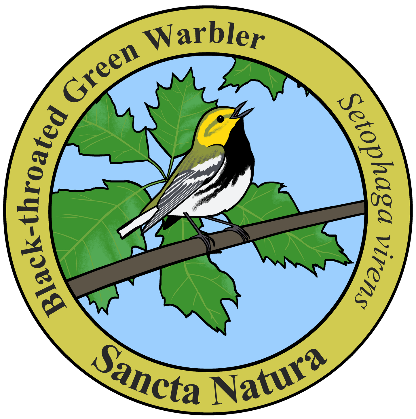 Adult Black-throated Green Warbler T-shirt