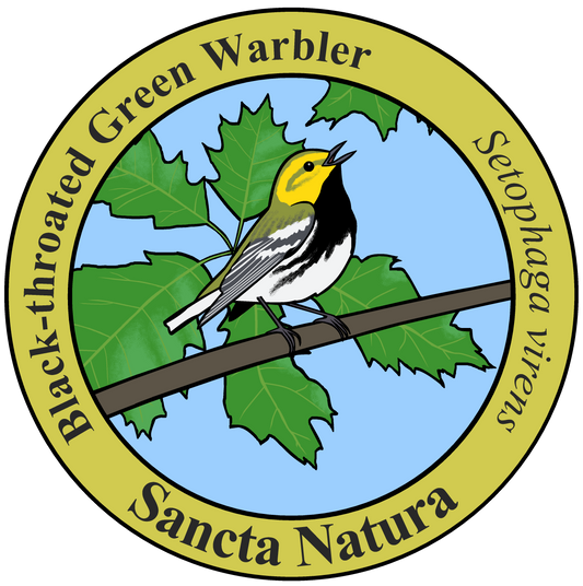 Adult Black-throated Green Warbler T-shirt