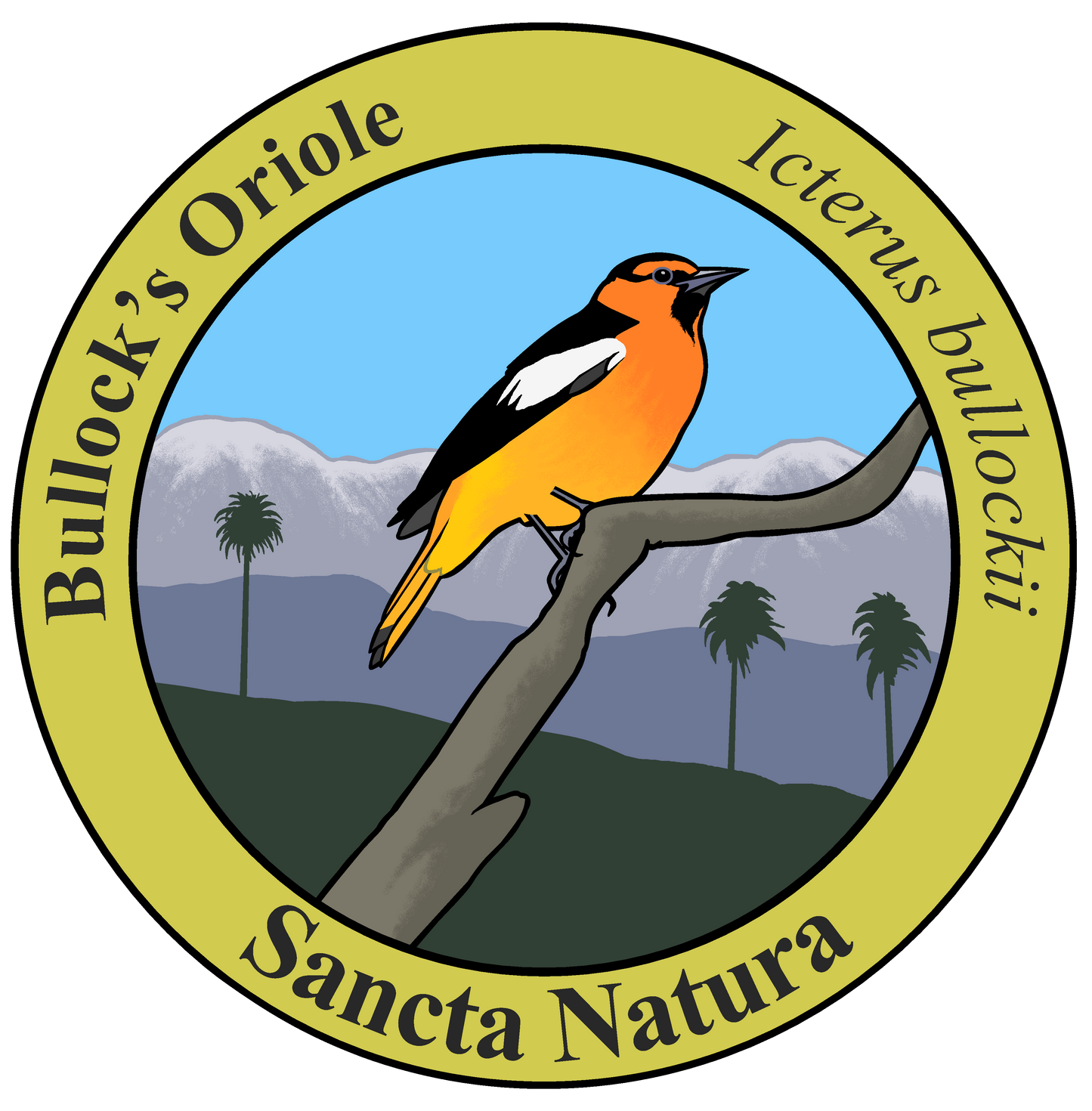 Kids Bullock's Oriole T-shirt