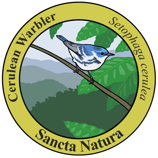 Kids Cerulean Warbler T-shirt