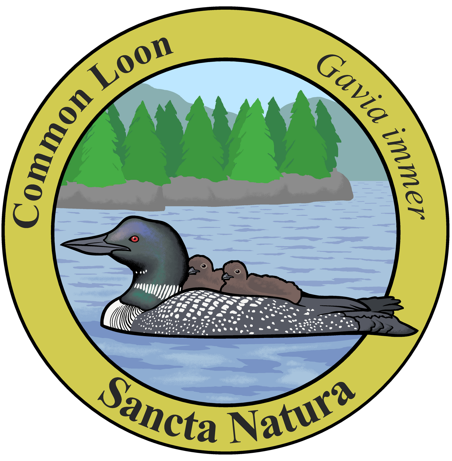 Adult Common Loon T-shirt