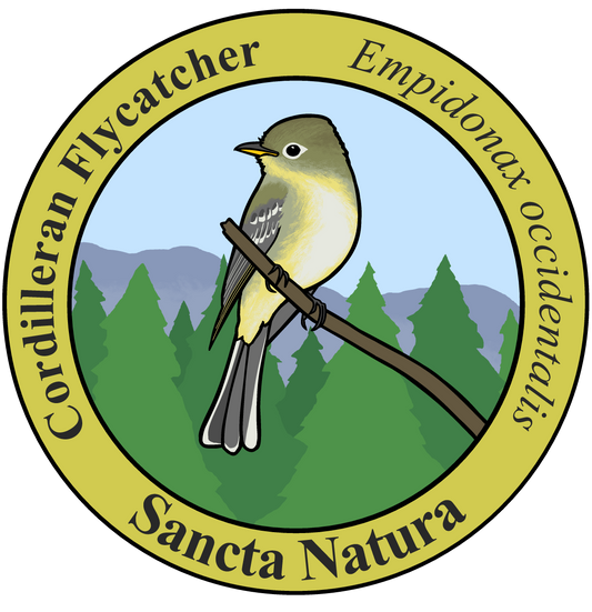 Kids Cordilleran Flycatcher T-shirt