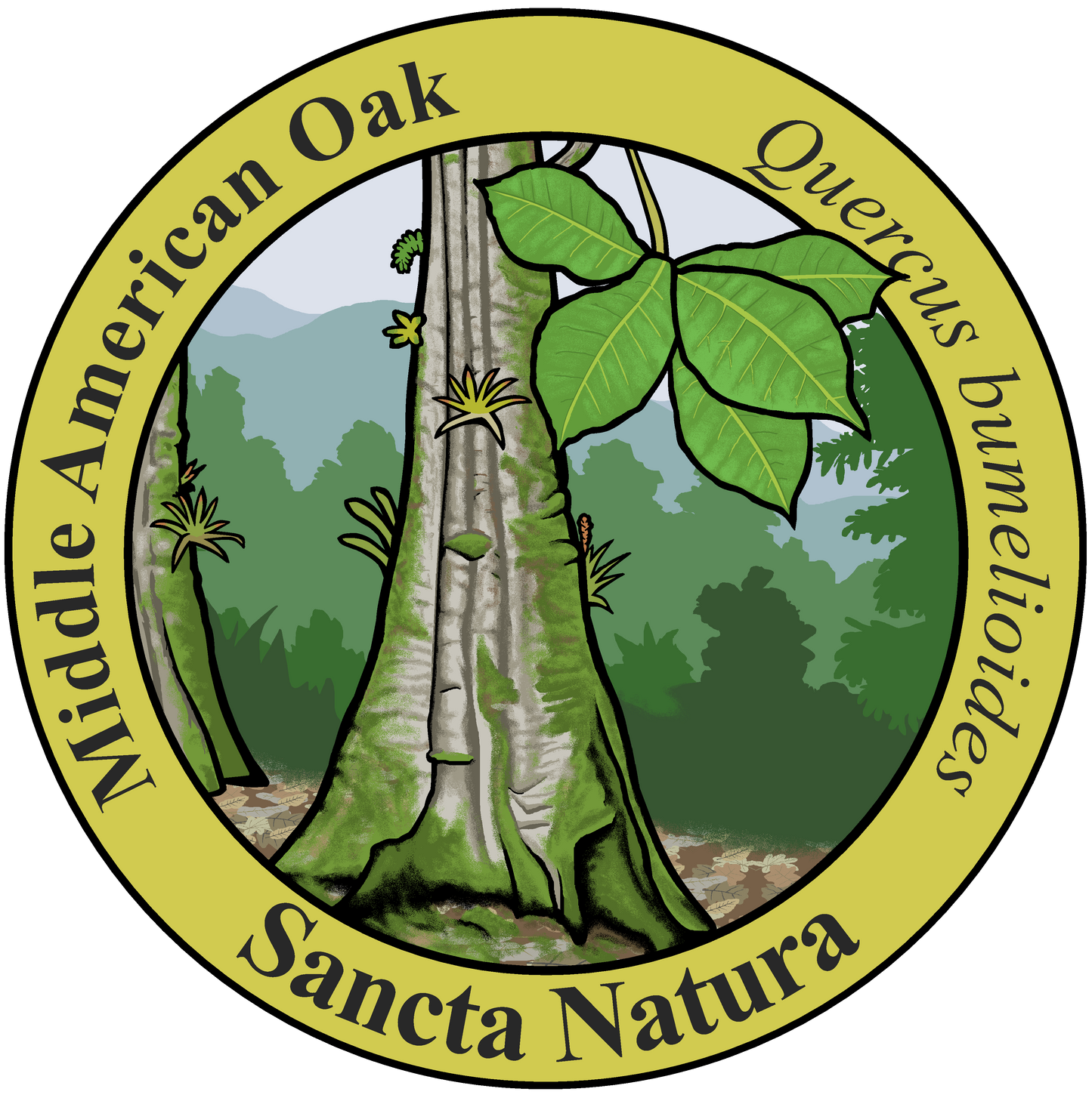 Kids Middle American Oak T-shirt