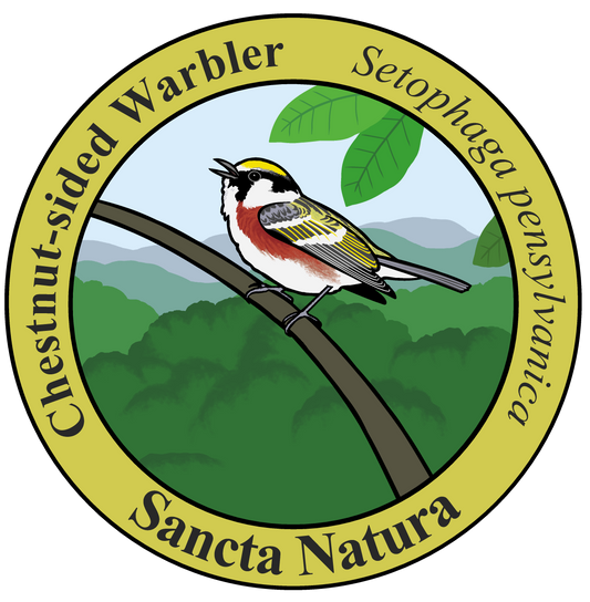 Adult Chestnut-sided Warbler T-shirt