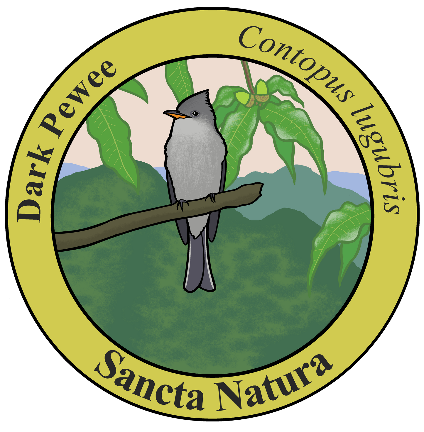 Adult Dark Pewee T-shirt