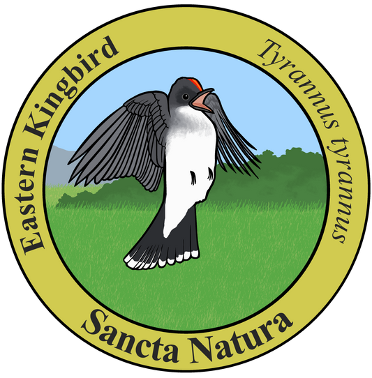 Adult Eastern Kingbird T-shirt