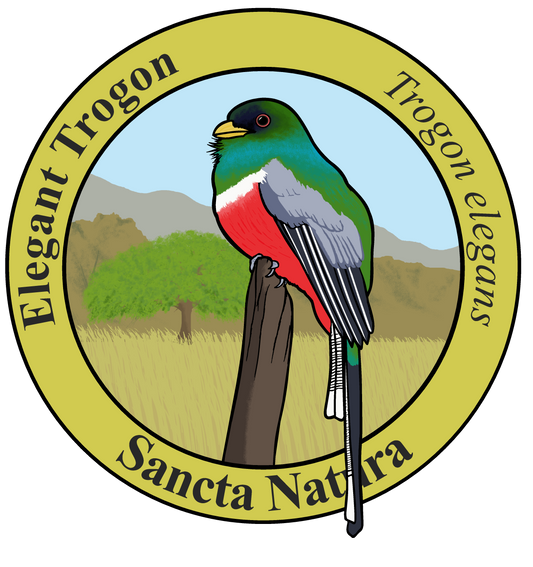 Adult Elegant Trogon T-shirt