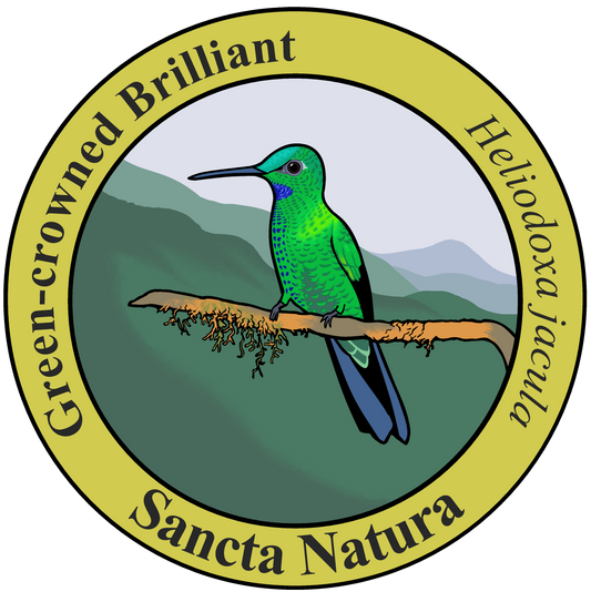 Kids Green-crowned Brilliant T-shirt