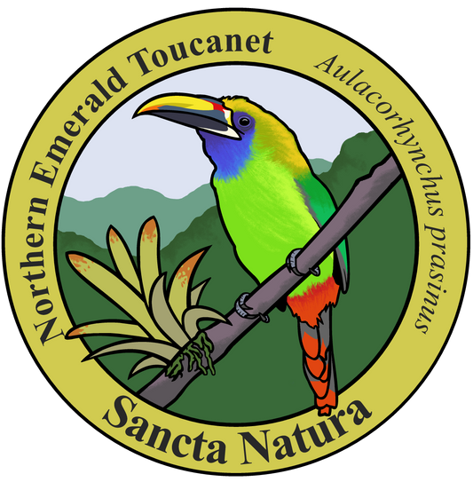 Kids Northern Emerald Toucanet T-shirt