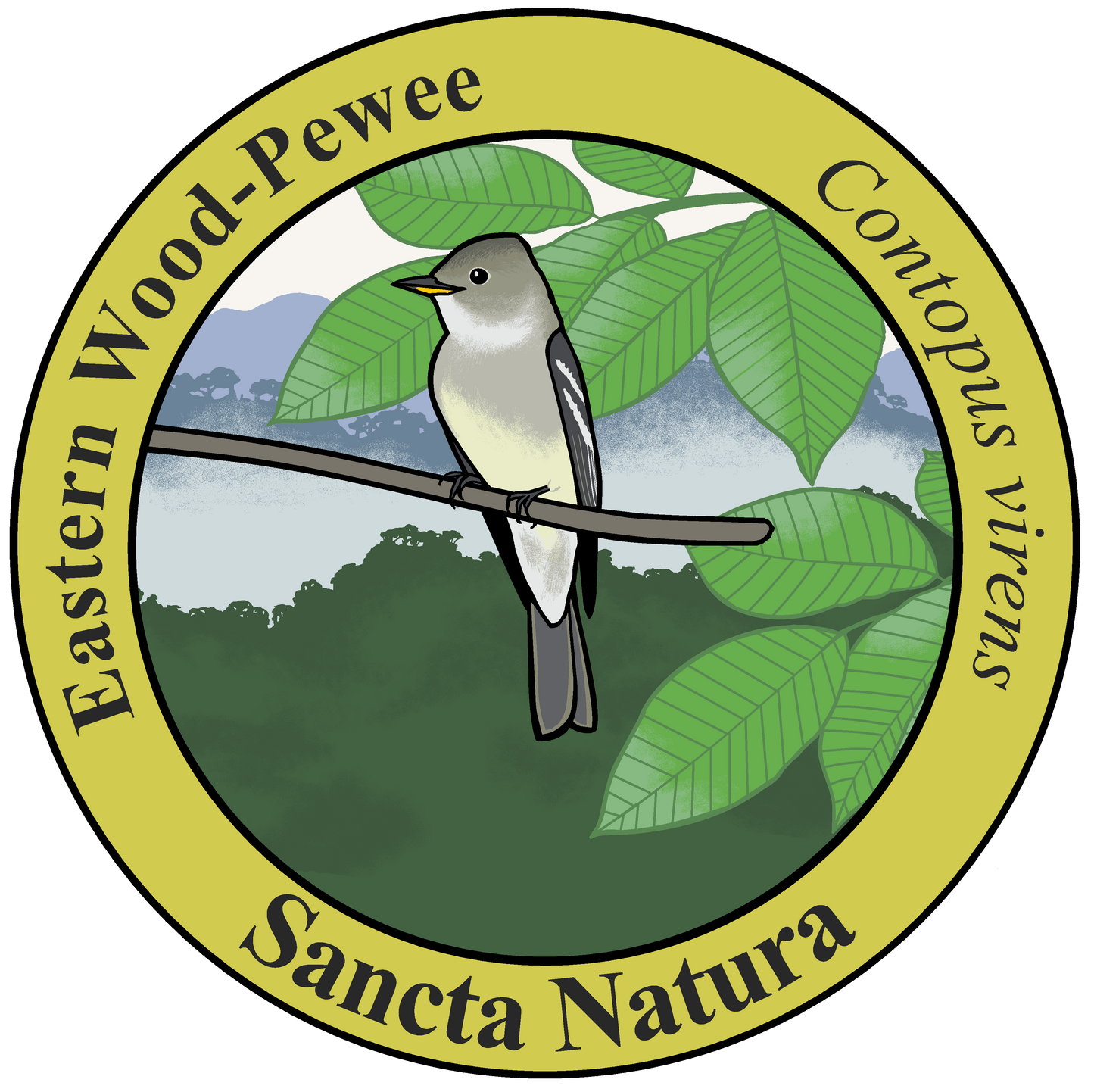 Adult Eastern Wood-Pewee T-shirt