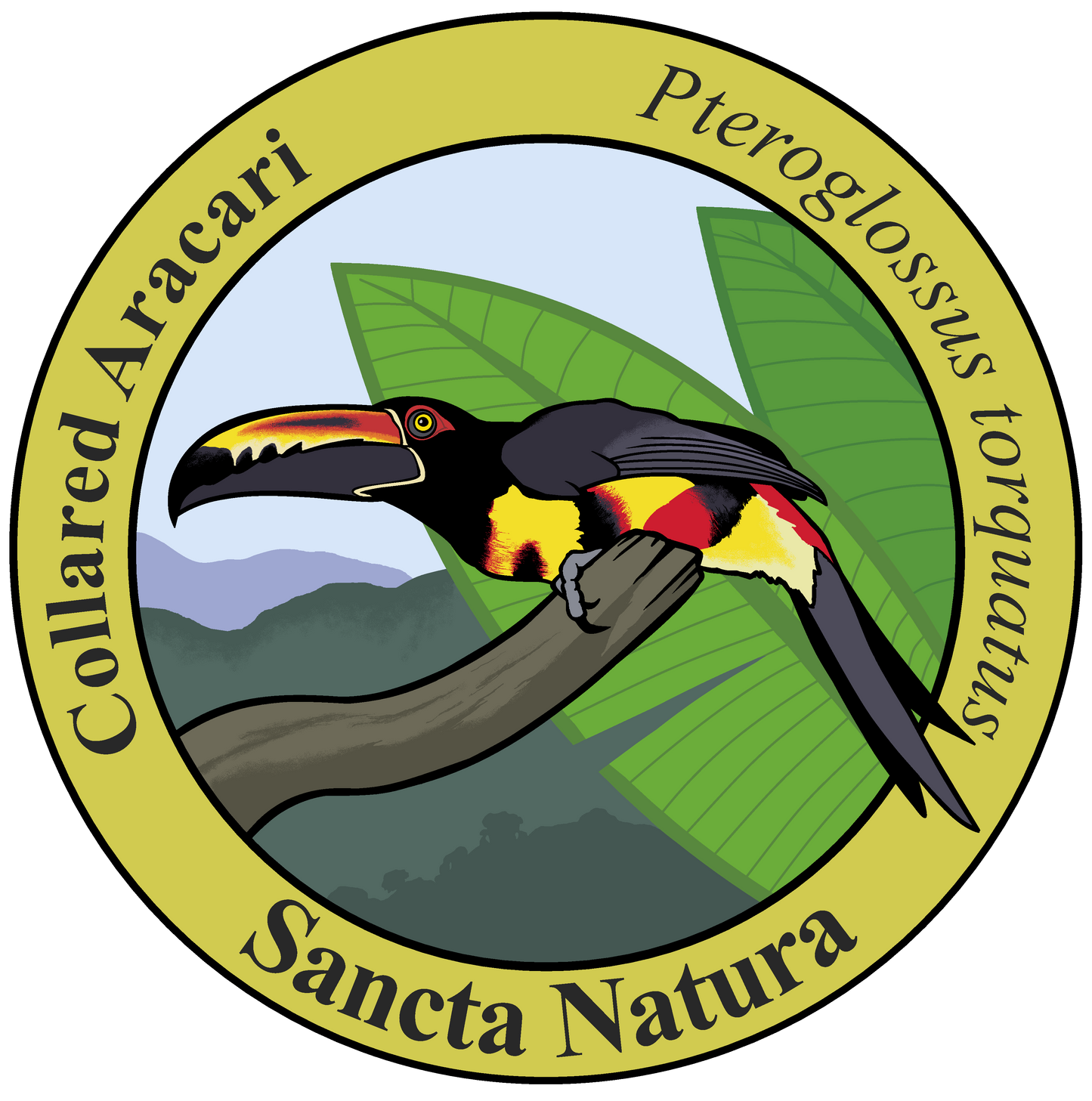 Adult Collared Aracari T-shirt