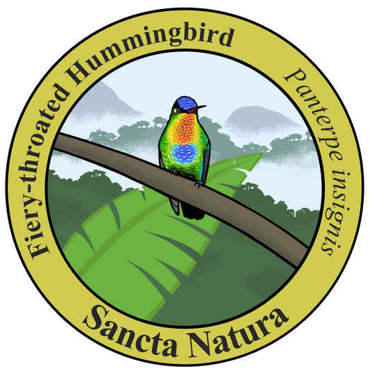 Kids Fiery-throated Hummingbird T-shirt