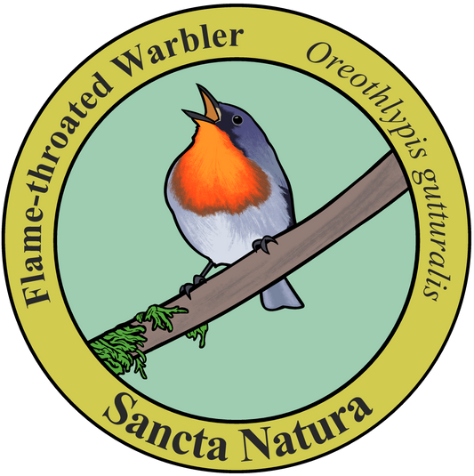 Kids Flame-throated Warbler T-shirt