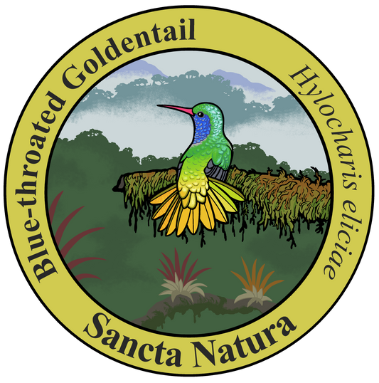 Adult Blue-throated Goldentail T-shirt