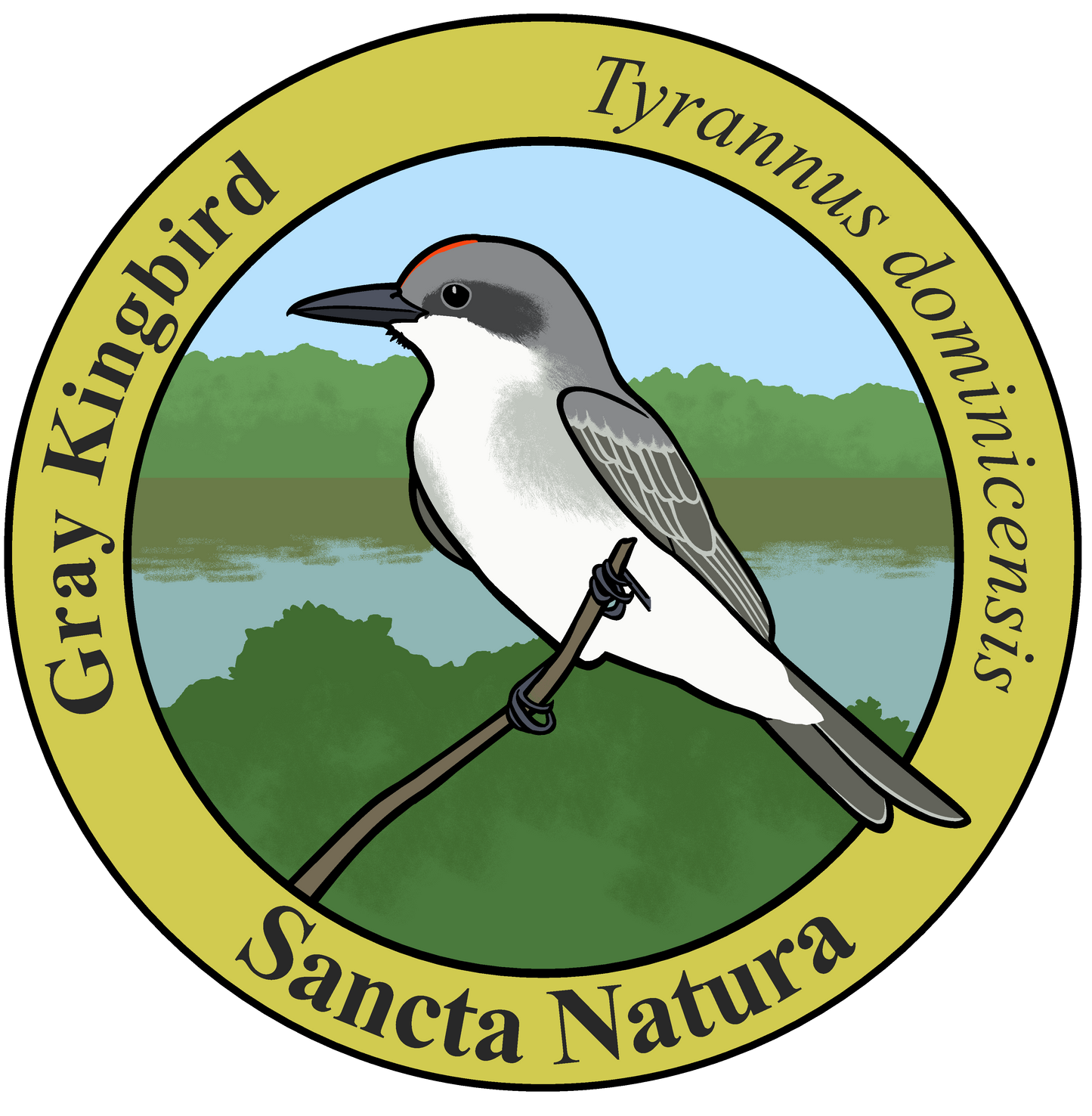 Adult Gray Kingbird T-shirt