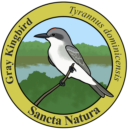 Kids Gray Kingbird T-shirt