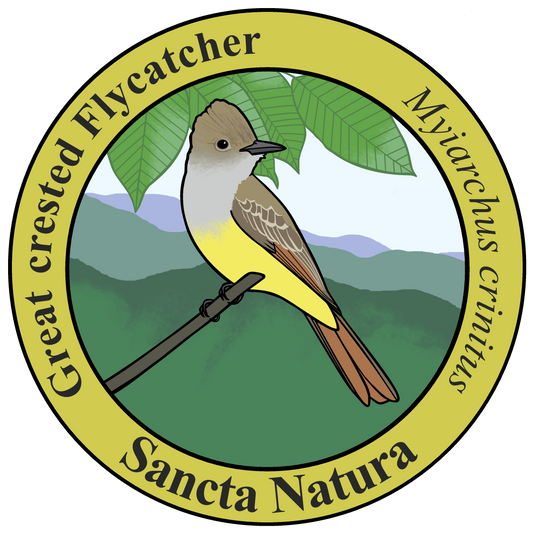 Kids Great crested Flycatcher T-shirt