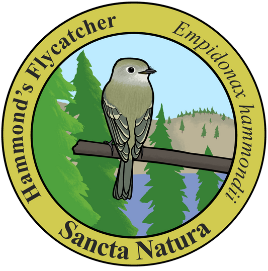 Adult Hammond's Flycatcher T-shirt