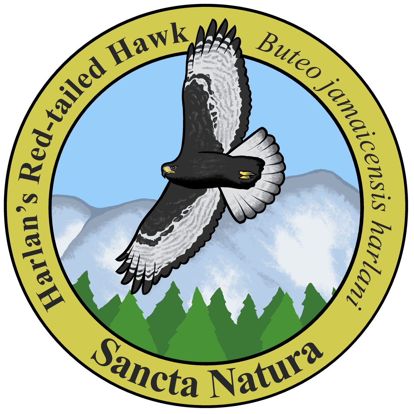 Adult Red-tailed Hawk (Harlan's) T-shirt
