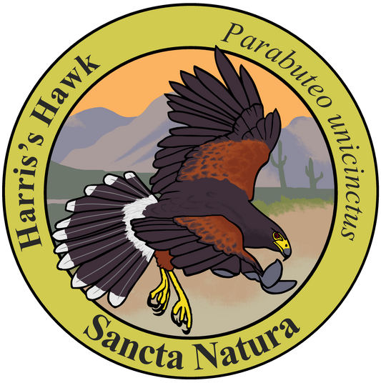 Kids Harris's Hawk T-shirt