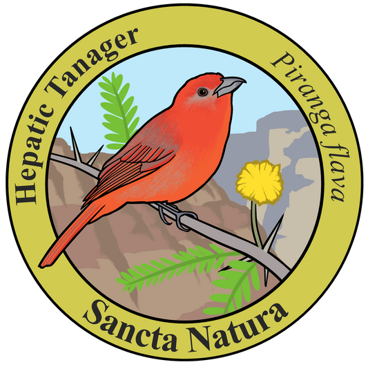 Adult Hepatic Tanager T-shirt