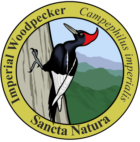 Kids Imperial Woodpecker T-shirt