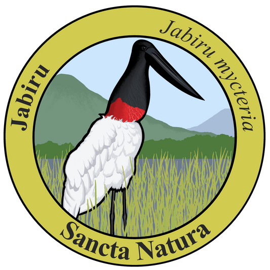 Adult Jabiru T-shirt