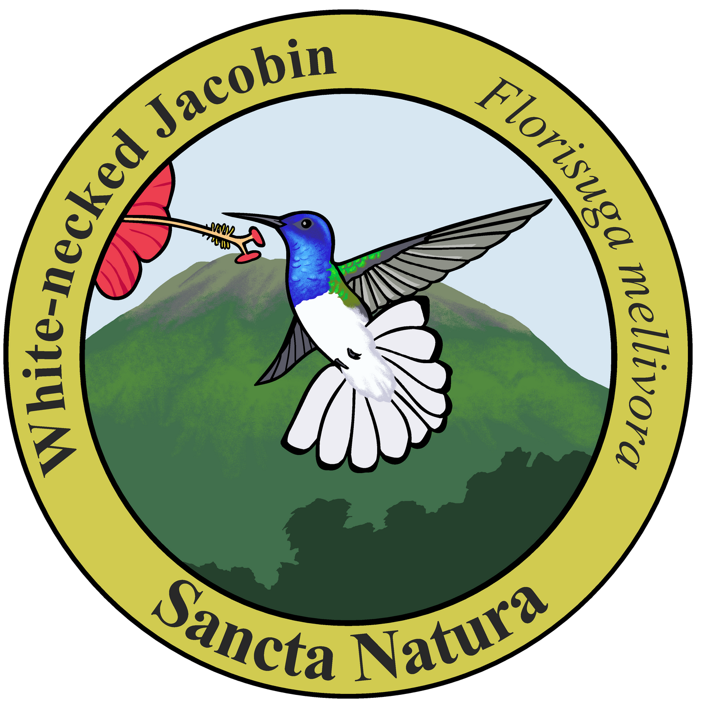 Adult White-necked Jacobin T-shirt