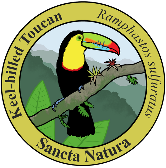 Adult Keel-billed Toucan T-shirt