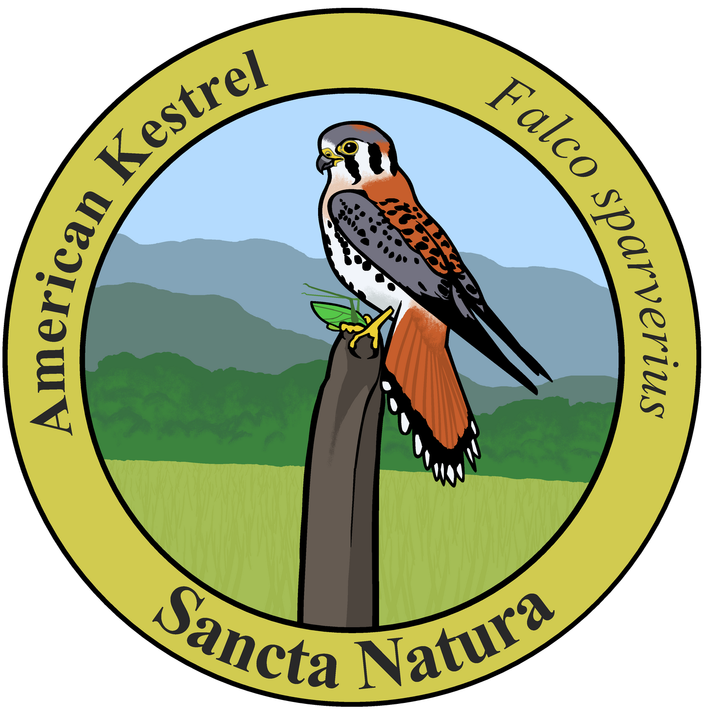 Kids American Kestrel T-shirt