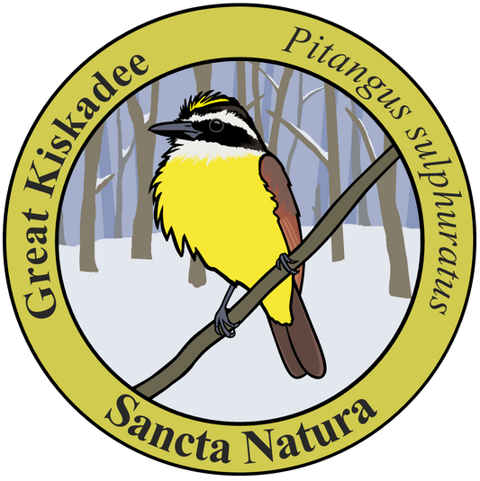 Adult Great Kiskadee T-shirt