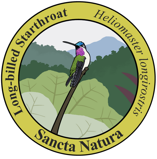 Adult Long-billed Starthroat T-shirt