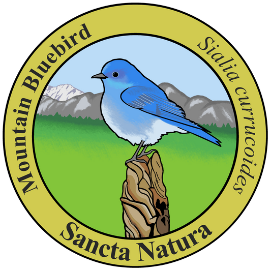 Kids Mountain Bluebird T-shirt