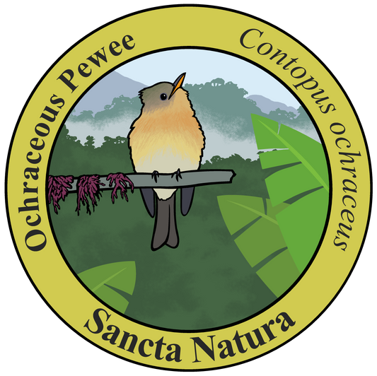 Kids Ochraceous Pewee T-shirt