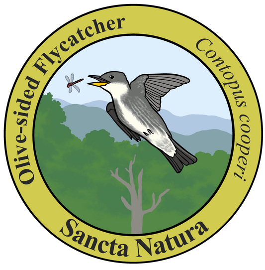 Kids Olive-sided Flycatcher T-shirt