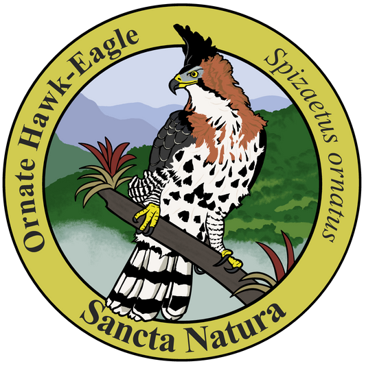 Kids Ornate Hawk-Eagle T-shirt