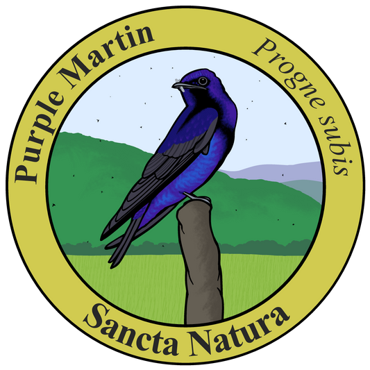 Adult Purple Martin T-shirt