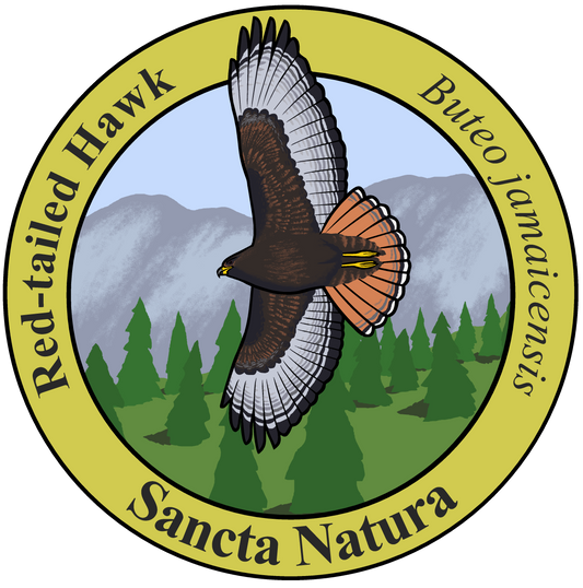 Adult Red-tailed Hawk T-shirt