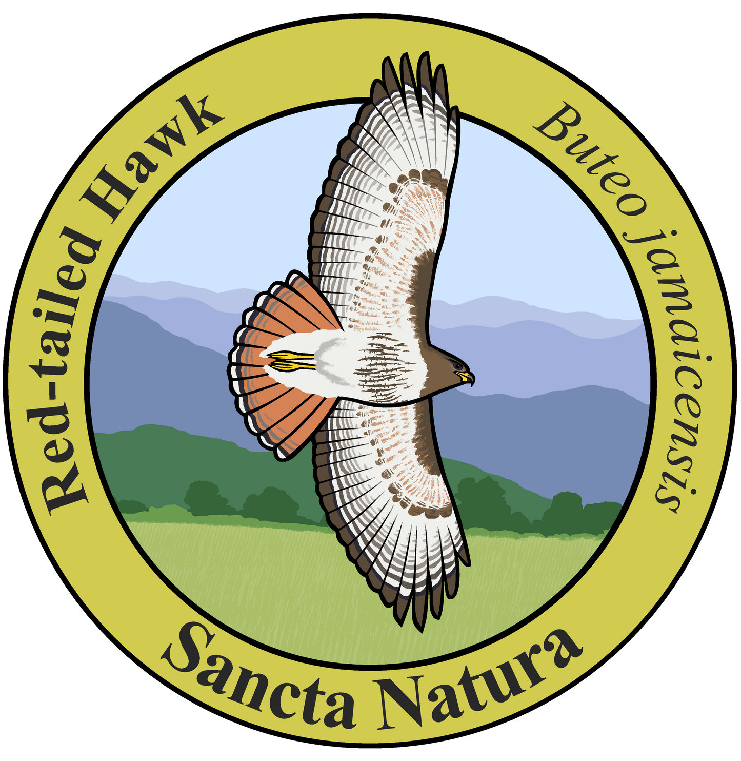 Kids Red-tailed Hawk T-shirt