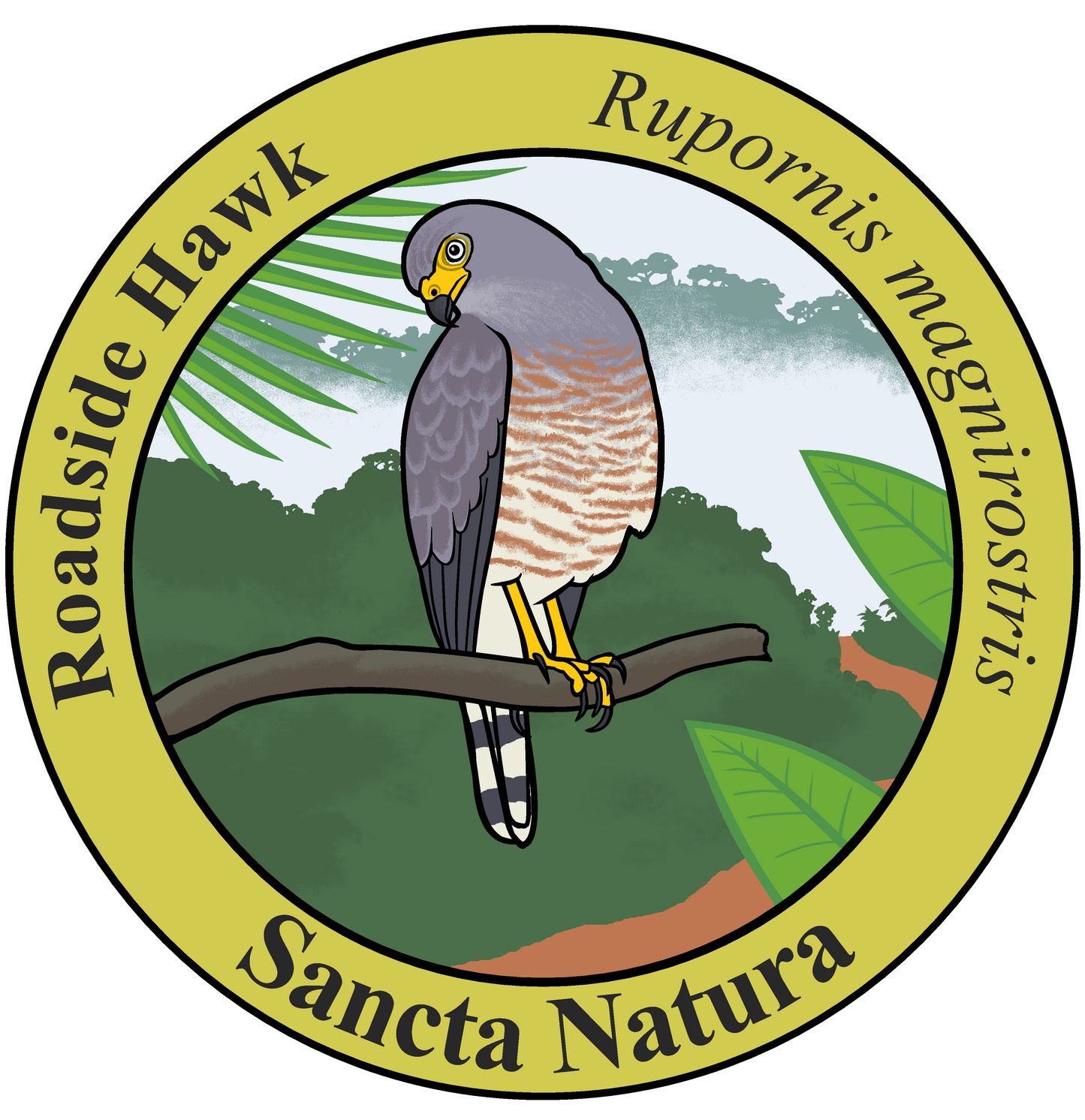 Kids Roadside Hawk T-shirt