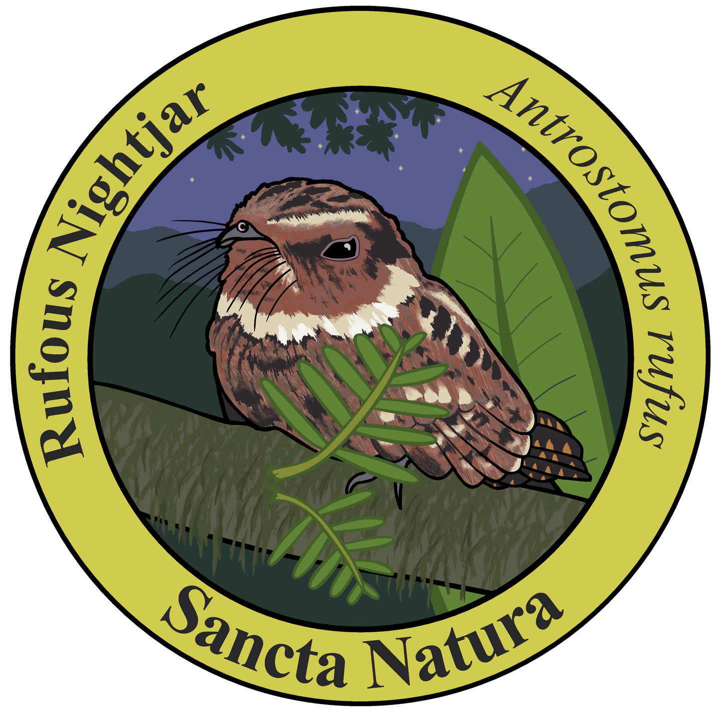 Kids Rufous Nightjar T-shirt